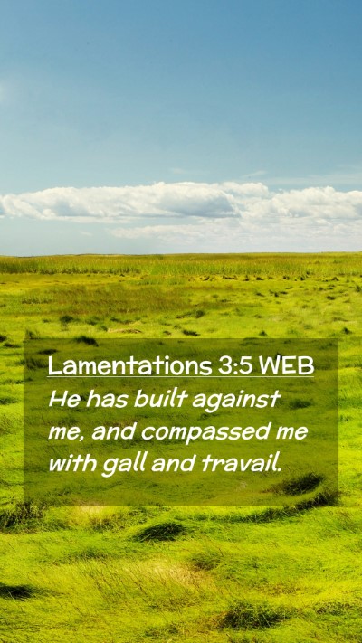 Picture 02 - Lamentations 3:5 WEB Mobile Phone Wallpaper - He has built against me, and compassed me with - Mobile Bible Verse Wallpaper
