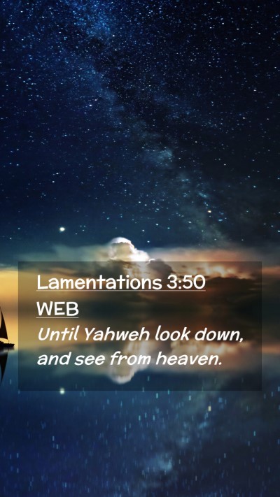 Picture 02 - Lamentations 3:50 WEB Mobile Phone Wallpaper - Until Yahweh look down, and see from - Mobile Bible Verse Wallpaper