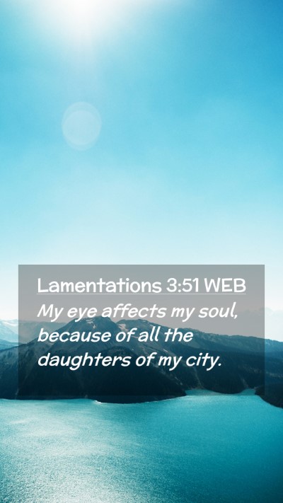 Picture 02 - Lamentations 3:51 WEB Mobile Phone Wallpaper - My eye affects my soul, because of all the - Mobile Bible Verse Wallpaper