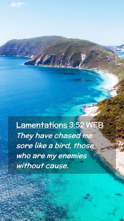 Picture 02 - Lamentations 3:52 WEB Mobile Phone Wallpaper - They have chased me sore like a bird, those who - Mobile Bible Verse Wallpaper