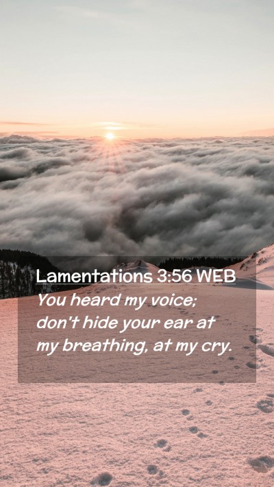 Picture 02 - Lamentations 3:56 WEB Mobile Phone Wallpaper - You heard my voice; don't hide your ear at my - Mobile Bible Verse Wallpaper