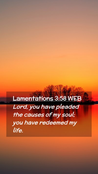 Picture 02 - Lamentations 3:58 WEB Mobile Phone Wallpaper - Lord, you have pleaded the causes of my soul; you - Mobile Bible Verse Wallpaper