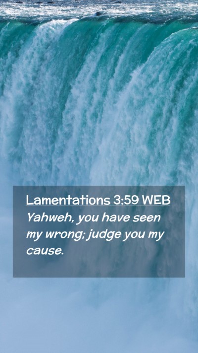 Picture 02 - Lamentations 3:59 WEB Mobile Phone Wallpaper - Yahweh, you have seen my wrong; judge you my - Mobile Bible Verse Wallpaper