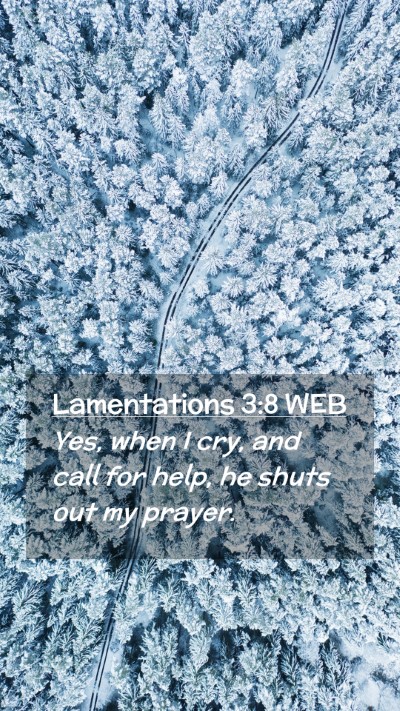 Picture 02 - Lamentations 3:8 WEB Mobile Phone Wallpaper - Yes, when I cry, and call for help, he shuts out - Mobile Bible Verse Wallpaper