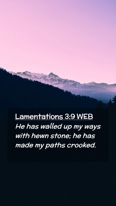Picture 02 - Lamentations 3:9 WEB Mobile Phone Wallpaper - He has walled up my ways with hewn stone; he has - Mobile Bible Verse Wallpaper