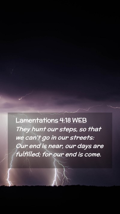 Picture 02 - Lamentations 4:18 WEB Mobile Phone Wallpaper - They hunt our steps, so that we can't go in our - Mobile Bible Verse Wallpaper