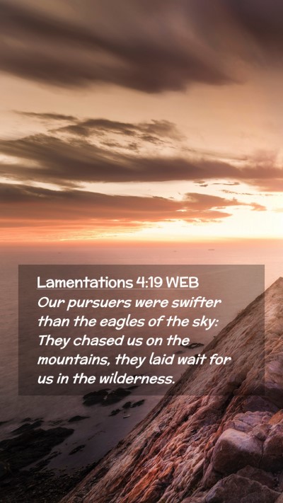 Picture 02 - Lamentations 4:19 WEB Mobile Phone Wallpaper - Our pursuers were swifter than the eagles of the - Mobile Bible Verse Wallpaper