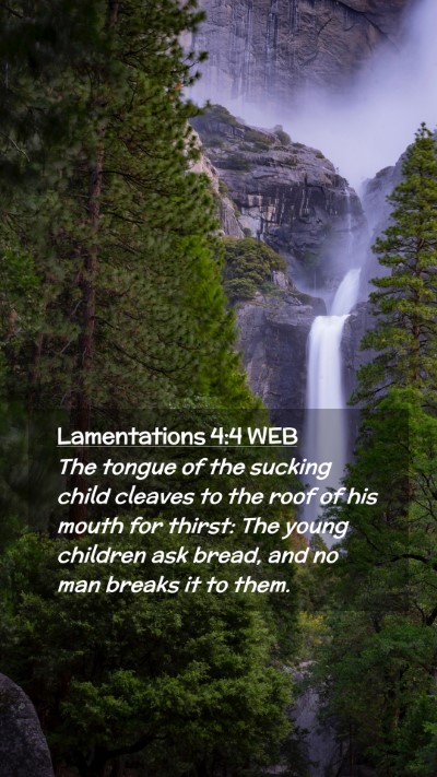 Picture 02 - Lamentations 4:4 WEB Mobile Phone Wallpaper - The tongue of the sucking child cleaves to the - Mobile Bible Verse Wallpaper