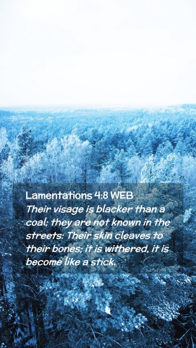 Picture 02 - Lamentations 4:8 WEB Mobile Phone Wallpaper - Their visage is blacker than a coal; they are not - Mobile Bible Verse Wallpaper