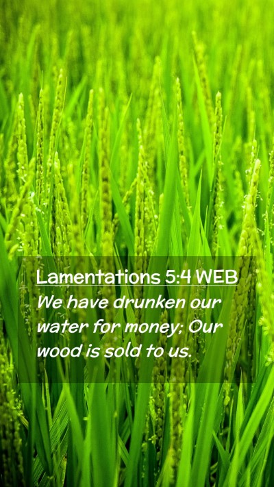 Picture 02 - Lamentations 5:4 WEB Mobile Phone Wallpaper - We have drunken our water for money; Our wood is - Mobile Bible Verse Wallpaper
