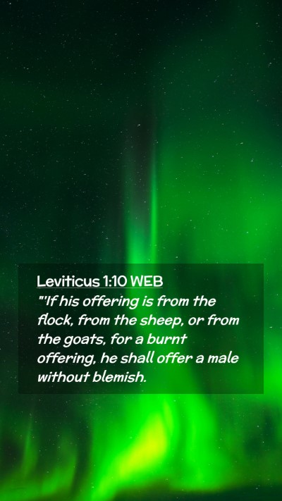 Picture 02 - Leviticus 1:10 WEB Mobile Phone Wallpaper - 