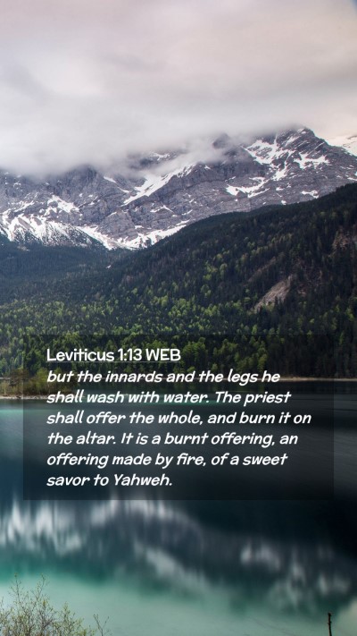 Picture 02 - Leviticus 1:13 WEB Mobile Phone Wallpaper - but the innards and the legs he shall wash with - Mobile Bible Verse Wallpaper