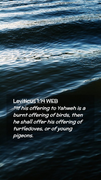 Picture 02 - Leviticus 1:14 WEB Mobile Phone Wallpaper - 