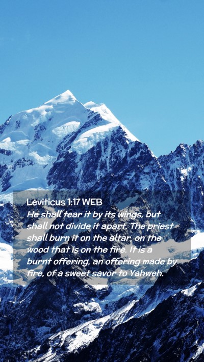 Picture 02 - Leviticus 1:17 WEB Mobile Phone Wallpaper - He shall tear it by its wings, but shall not - Mobile Bible Verse Wallpaper