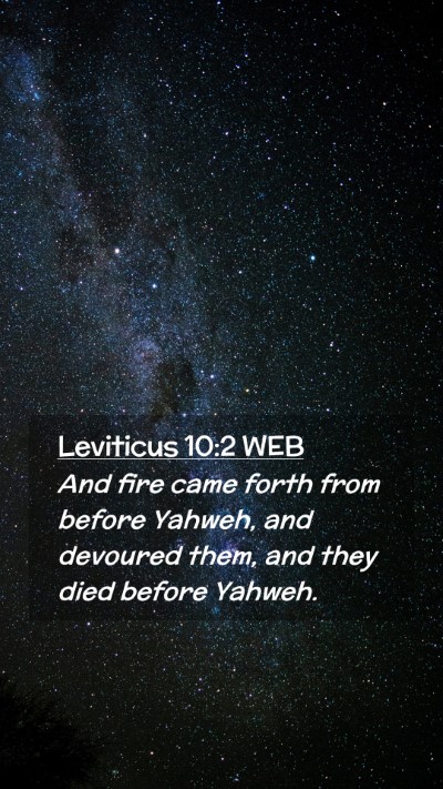 Picture 02 - Leviticus 10:2 WEB Mobile Phone Wallpaper - And fire came forth from before Yahweh, and - Mobile Bible Verse Wallpaper