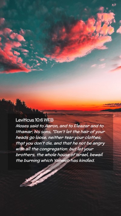 Picture 02 - Leviticus 10:6 WEB Mobile Phone Wallpaper - Moses said to Aaron, and to Eleazar and to - Mobile Bible Verse Wallpaper