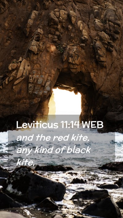 Picture 02 - Leviticus 11:14 WEB Mobile Phone Wallpaper - and the red kite, any kind of black - Mobile Bible Verse Wallpaper
