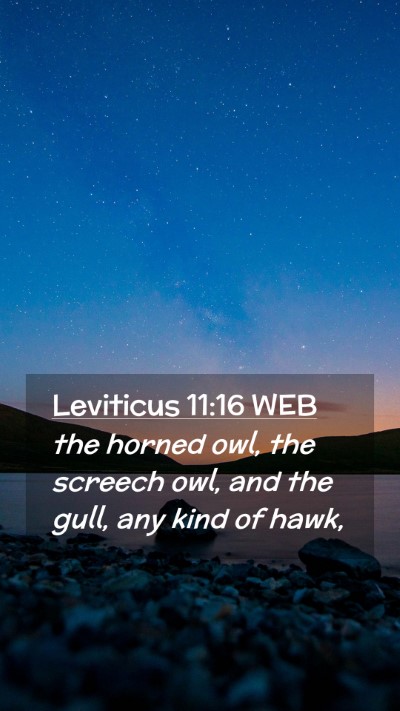 Picture 02 - Leviticus 11:16 WEB Mobile Phone Wallpaper - the horned owl, the screech owl, and the gull, - Mobile Bible Verse Wallpaper