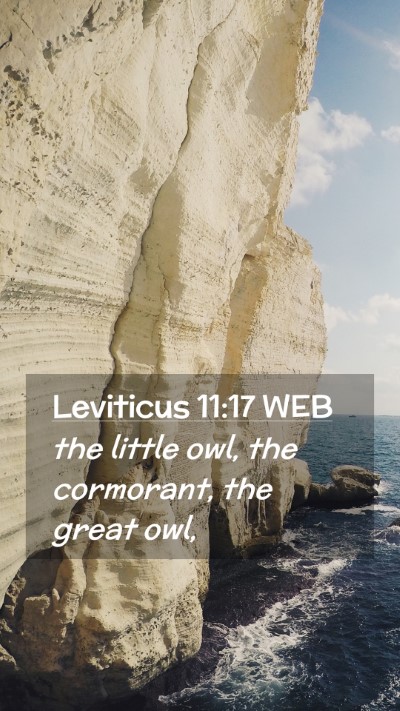 Picture 02 - Leviticus 11:17 WEB Mobile Phone Wallpaper - the little owl, the cormorant, the great - Mobile Bible Verse Wallpaper