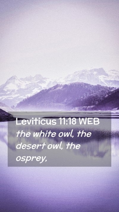 Picture 02 - Leviticus 11:18 WEB Mobile Phone Wallpaper - the white owl, the desert owl, the - Mobile Bible Verse Wallpaper