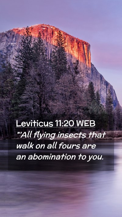 Picture 02 - Leviticus 11:20 WEB Mobile Phone Wallpaper - 