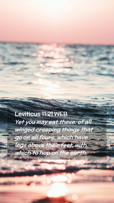 Picture 02 - Leviticus 11:21 WEB Mobile Phone Wallpaper - Yet you may eat these: of all winged creeping - Mobile Bible Verse Wallpaper