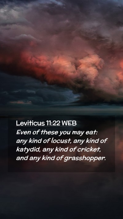 Picture 02 - Leviticus 11:22 WEB Mobile Phone Wallpaper - Even of these you may eat: any kind of locust, - Mobile Bible Verse Wallpaper