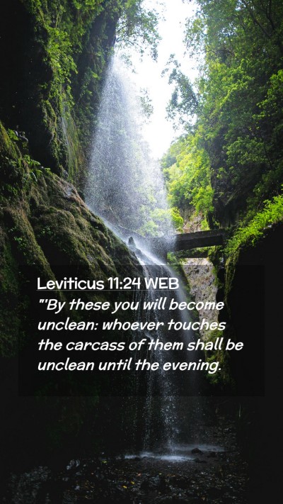 Picture 02 - Leviticus 11:24 WEB Mobile Phone Wallpaper - 