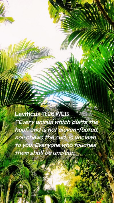 Picture 02 - Leviticus 11:26 WEB Mobile Phone Wallpaper - 