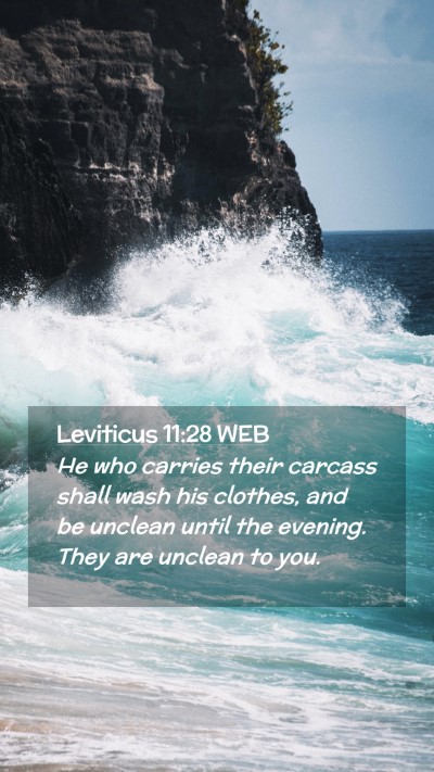 Picture 02 - Leviticus 11:28 WEB Mobile Phone Wallpaper - He who carries their carcass shall wash his - Mobile Bible Verse Wallpaper