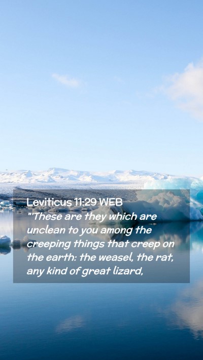 Picture 02 - Leviticus 11:29 WEB Mobile Phone Wallpaper - 