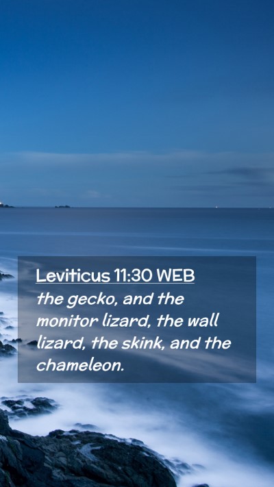 Picture 02 - Leviticus 11:30 WEB Mobile Phone Wallpaper - the gecko, and the monitor lizard, the wall - Mobile Bible Verse Wallpaper