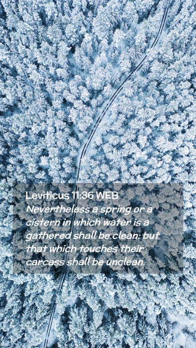 Picture 02 - Leviticus 11:36 WEB Mobile Phone Wallpaper - Nevertheless a spring or a cistern in which water - Mobile Bible Verse Wallpaper