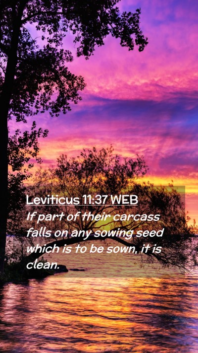 Picture 02 - Leviticus 11:37 WEB Mobile Phone Wallpaper - If part of their carcass falls on any sowing seed - Mobile Bible Verse Wallpaper