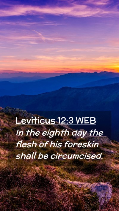 Picture 02 - Leviticus 12:3 WEB Mobile Phone Wallpaper - In the eighth day the flesh of his foreskin shall - Mobile Bible Verse Wallpaper