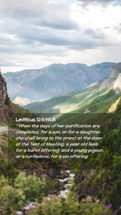 Picture 02 - Leviticus 12:6 WEB Mobile Phone Wallpaper - 