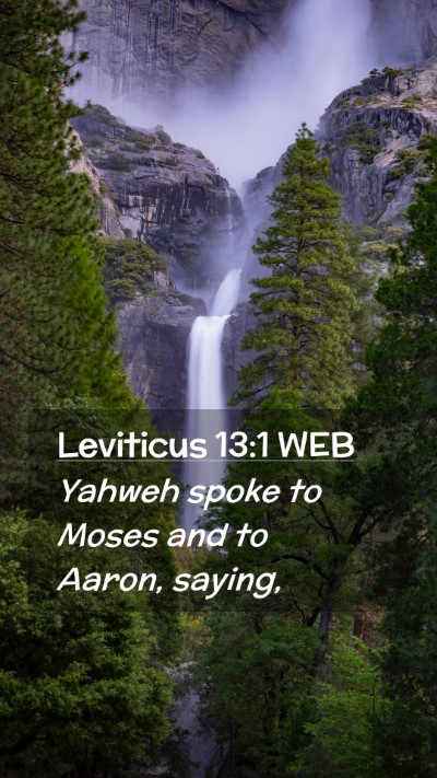 Picture 02 - Leviticus 13:1 WEB Mobile Phone Wallpaper - Yahweh spoke to Moses and to Aaron, - Mobile Bible Verse Wallpaper
