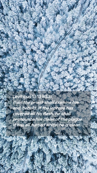 Picture 02 - Leviticus 13:13 WEB Mobile Phone Wallpaper - then the priest shall examine him; and, behold, - Mobile Bible Verse Wallpaper