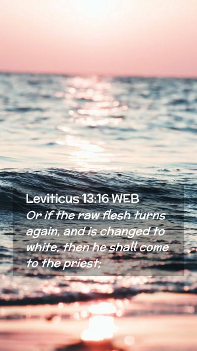 Picture 02 - Leviticus 13:16 WEB Mobile Phone Wallpaper - Or if the raw flesh turns again, and is changed - Mobile Bible Verse Wallpaper