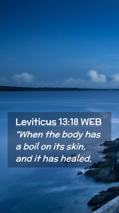 Picture 02 - Leviticus 13:18 WEB Mobile Phone Wallpaper - 