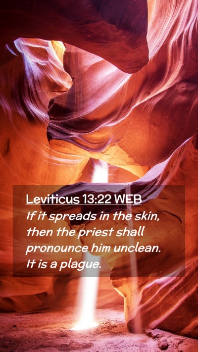 Picture 02 - Leviticus 13:22 WEB Mobile Phone Wallpaper - If it spreads in the skin, then the priest shall - Mobile Bible Verse Wallpaper