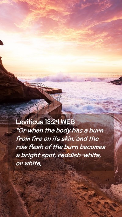 Picture 02 - Leviticus 13:24 WEB Mobile Phone Wallpaper - 