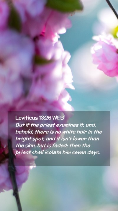 Picture 02 - Leviticus 13:26 WEB Mobile Phone Wallpaper - But if the priest examines it, and, behold, there - Mobile Bible Verse Wallpaper
