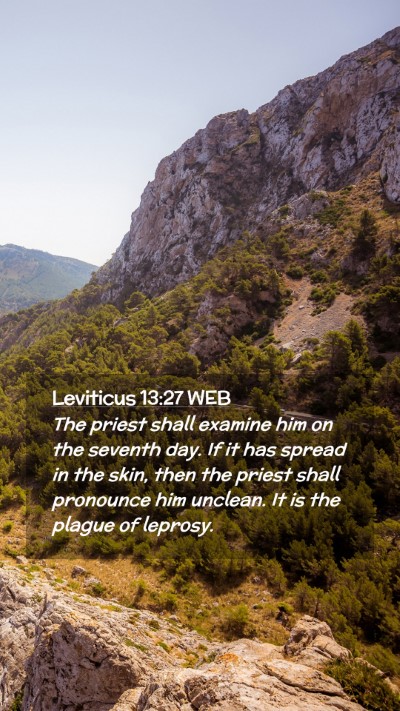 Picture 02 - Leviticus 13:27 WEB Mobile Phone Wallpaper - The priest shall examine him on the seventh day. - Mobile Bible Verse Wallpaper