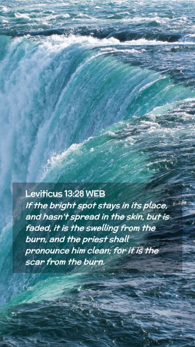 Picture 02 - Leviticus 13:28 WEB Mobile Phone Wallpaper - If the bright spot stays in its place, and hasn't - Mobile Bible Verse Wallpaper