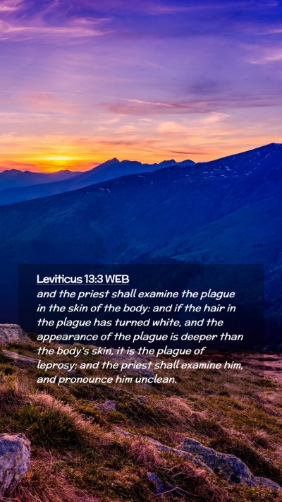 Picture 02 - Leviticus 13:3 WEB Mobile Phone Wallpaper - and the priest shall examine the plague in the - Mobile Bible Verse Wallpaper