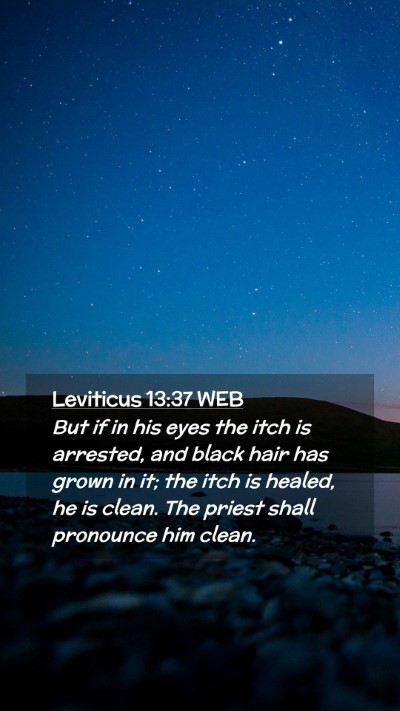Picture 02 - Leviticus 13:37 WEB Mobile Phone Wallpaper - But if in his eyes the itch is arrested, and - Mobile Bible Verse Wallpaper
