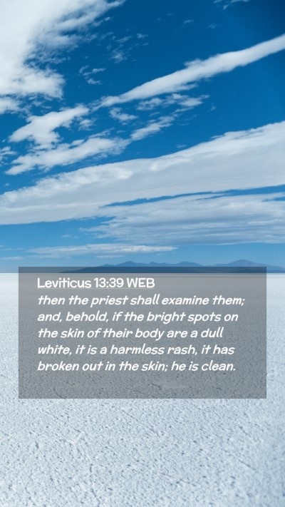 Picture 02 - Leviticus 13:39 WEB Mobile Phone Wallpaper - then the priest shall examine them; and, behold, - Mobile Bible Verse Wallpaper