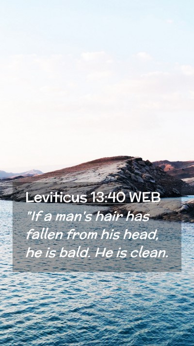 Picture 02 - Leviticus 13:40 WEB Mobile Phone Wallpaper - 