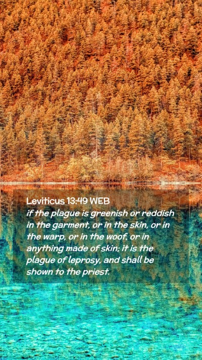 Picture 02 - Leviticus 13:49 WEB Mobile Phone Wallpaper - if the plague is greenish or reddish in the - Mobile Bible Verse Wallpaper